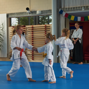 AikidoKinderSeminar2019.015