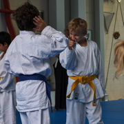 AikidoKinderSeminar2019.015