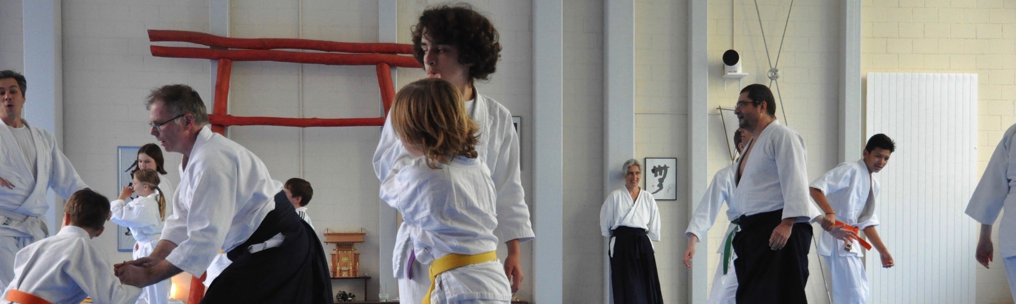 Aikido Kinderseminar 2016-06-11