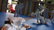 Aikido Kinderseminar 2016-06-11 (82 von 85)
