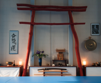 Shomen_Aikido_Unlimited